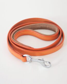 whippet greyhound lead