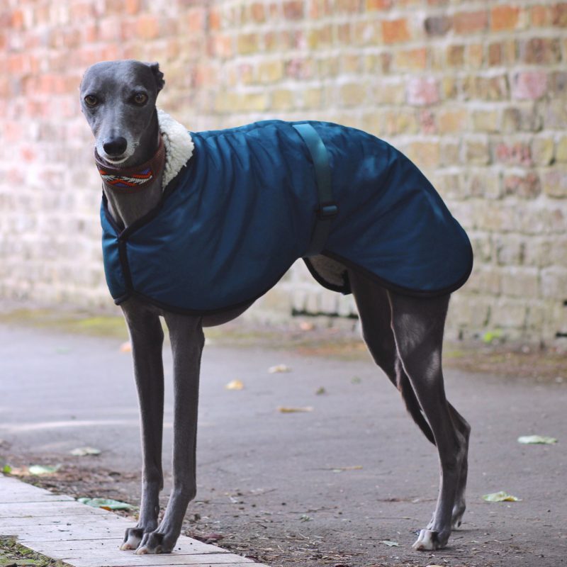 Teal Waterproof Fleece Whippet Coat Greyhound Italian Lurcher