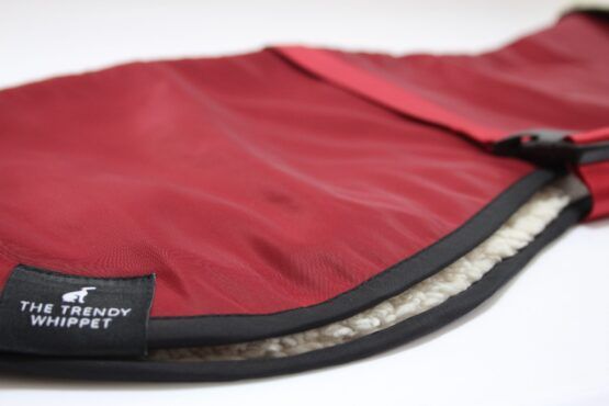 whippet greyhound coat