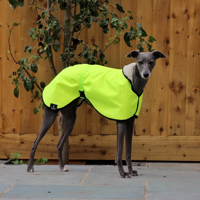 HI VIS Yellow Waterproof Fleece Whippet Coat Greyhound Italian Lurcher