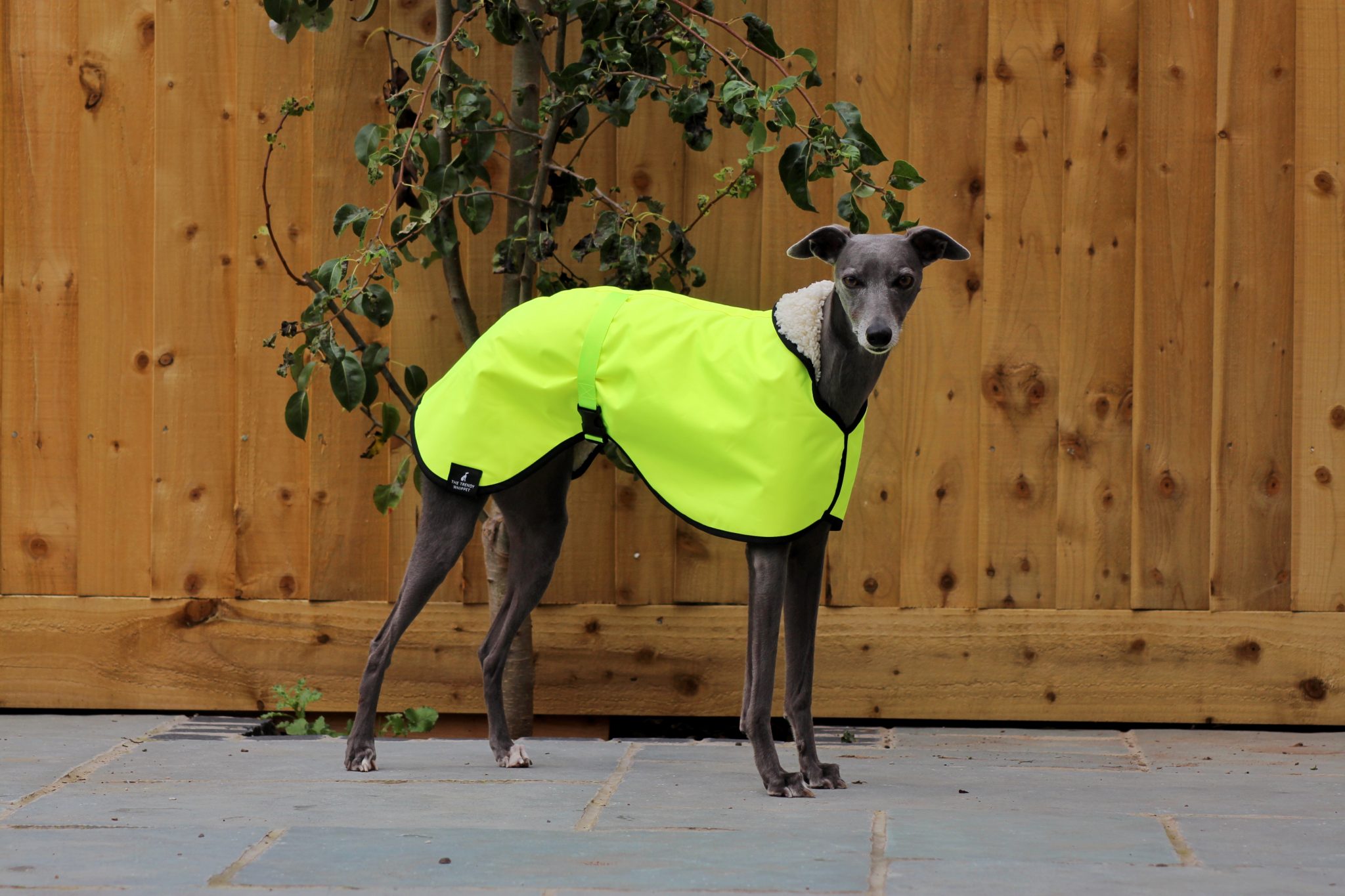 HI VIS Yellow Waterproof Fleece Whippet Coat Greyhound Italian Lurcher