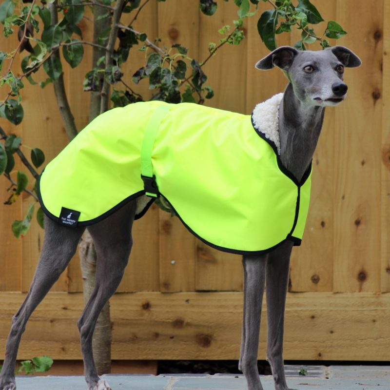 HI VIS Yellow Waterproof Fleece Whippet Coat Greyhound Italian Lurcher