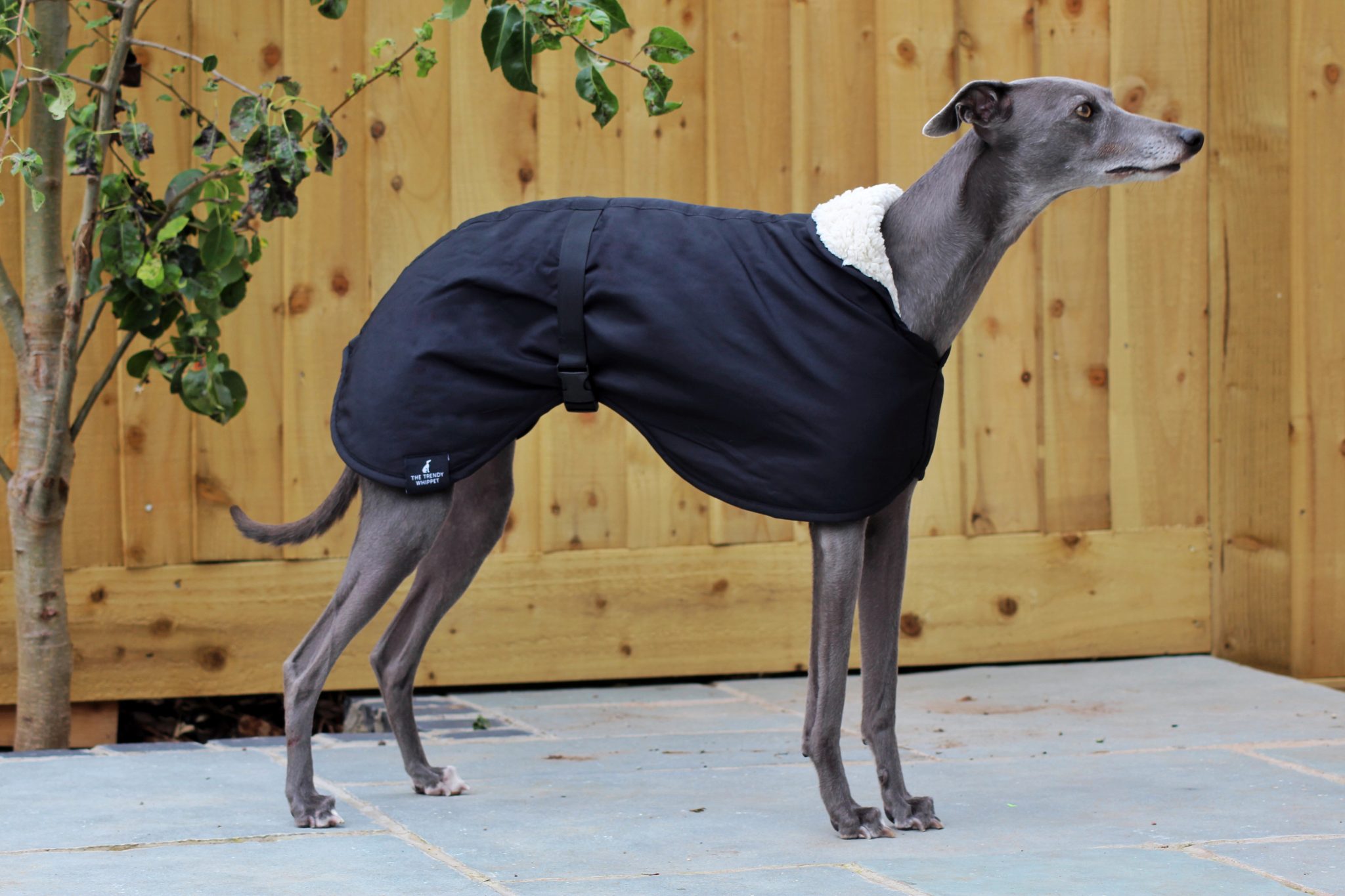 Black Waterproof Fleece Whippet Coat Greyhound Italian Lurcher