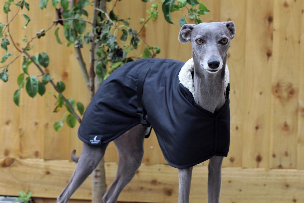 Black Waterproof Fleece Whippet Coat Greyhound Italian Lurcher