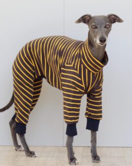 whippet greyhound jumper