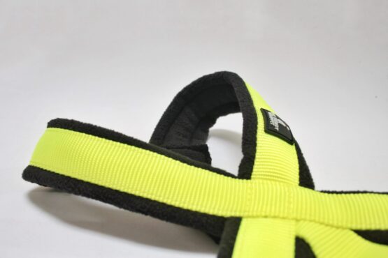 whippet greyhound harness