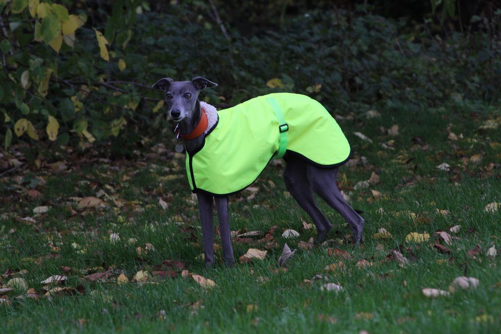 HI VIS Yellow Waterproof Fleece Whippet Greyhound Coat Lurcher