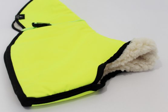 whippet greyhound jumper