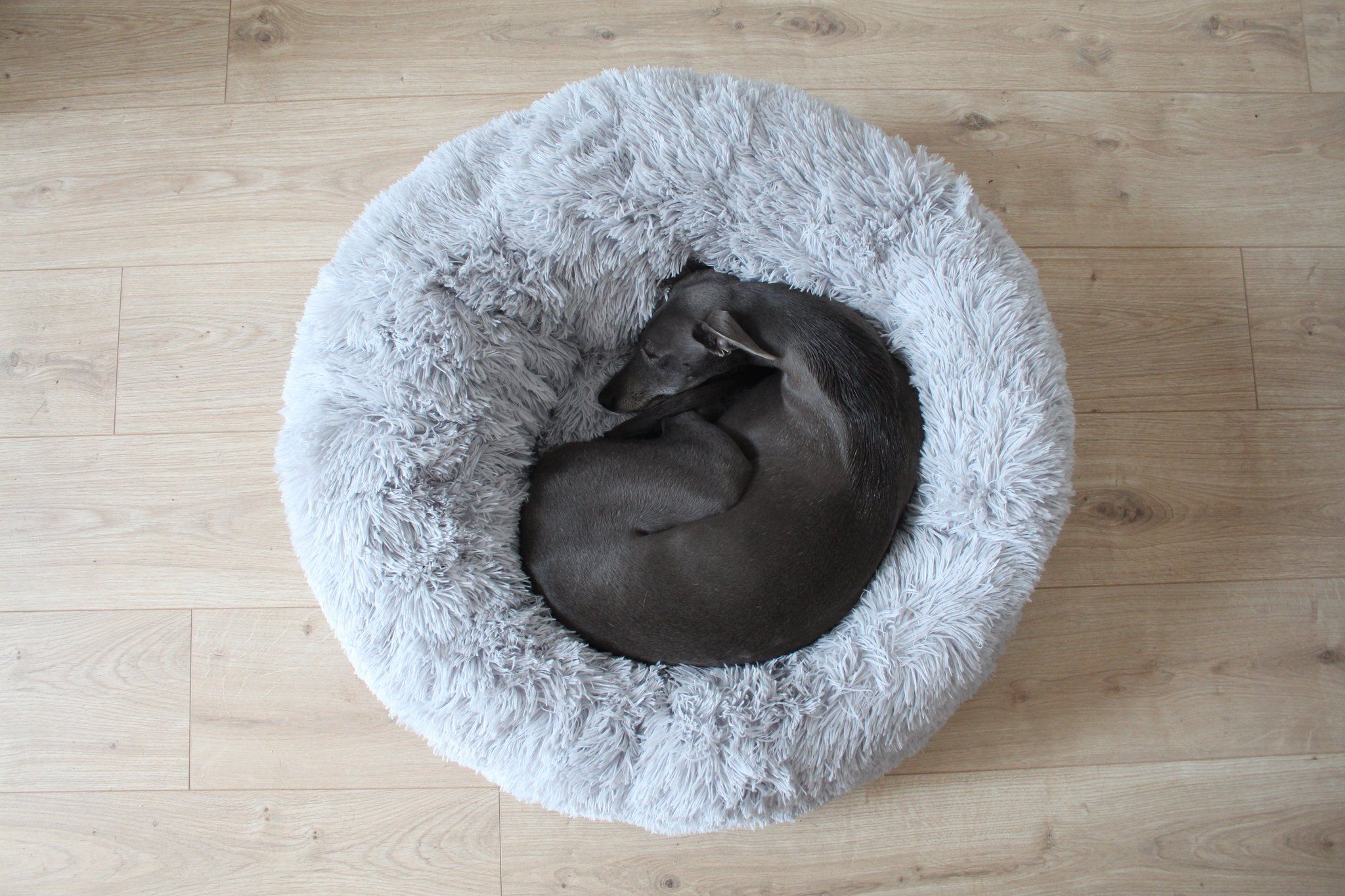 Dog bed