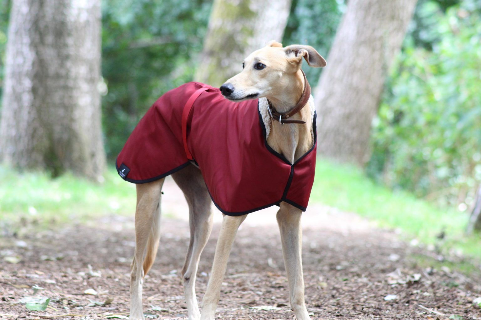 Burgundy Waterproof Fleece Lined Greyhound Coat Whippet Lurcher
