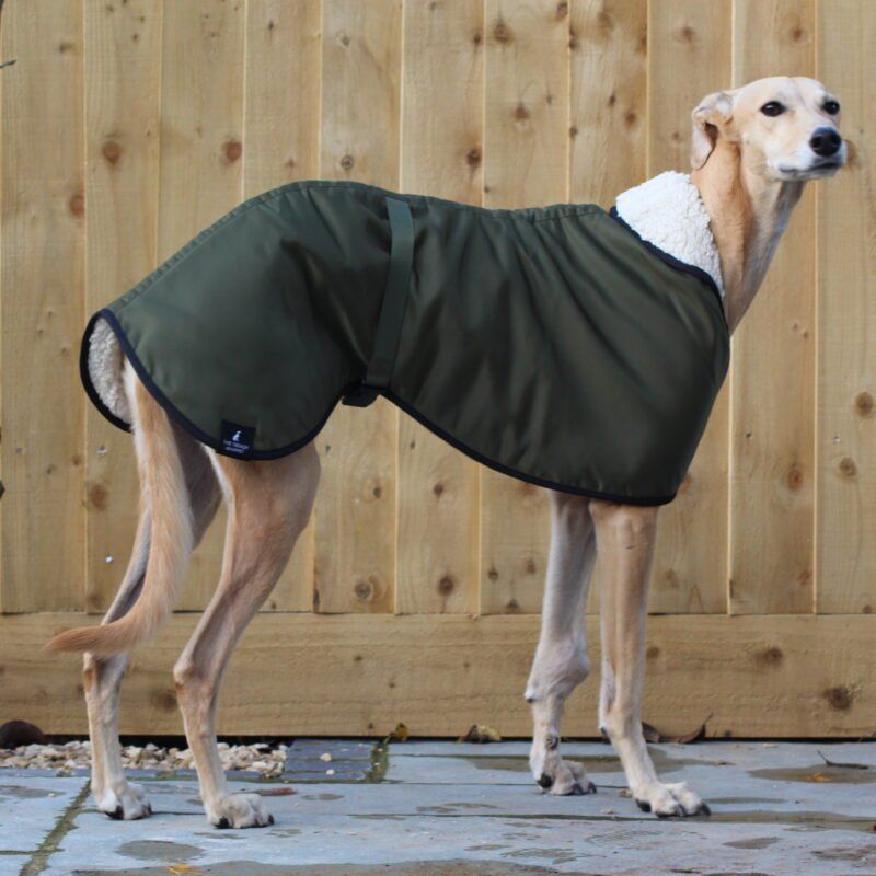 Olive Green Waterproof Fleece Lined Greyhound Coat Whippet Lurcher