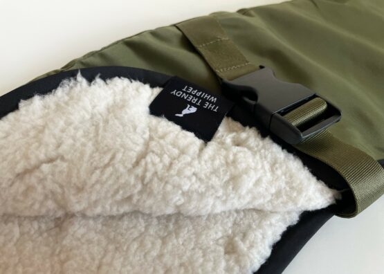 whippet greyhound coat
