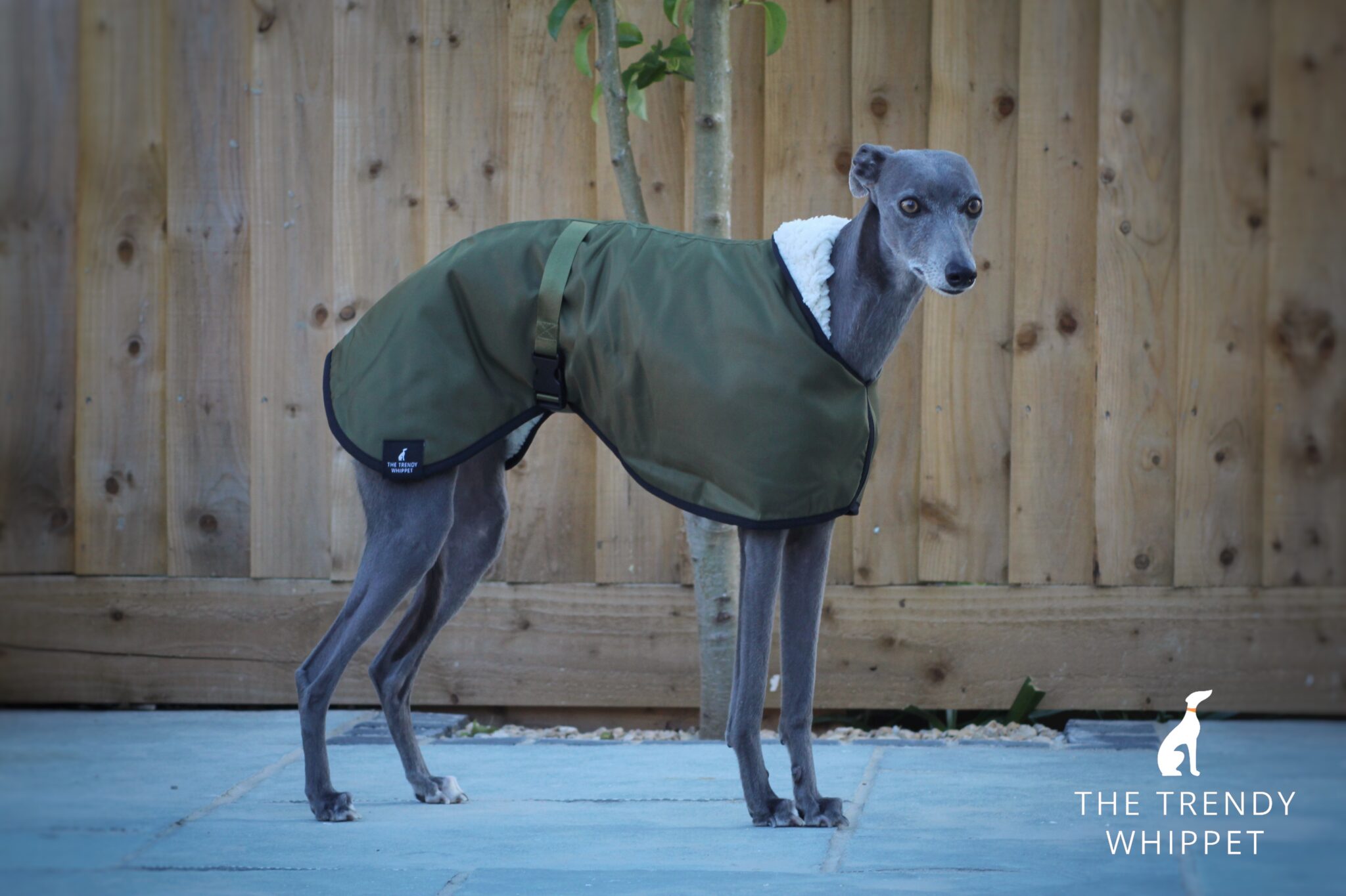 Olive Green Waterproof Fleece Lined Whippet Greyhound Coat Lurcher