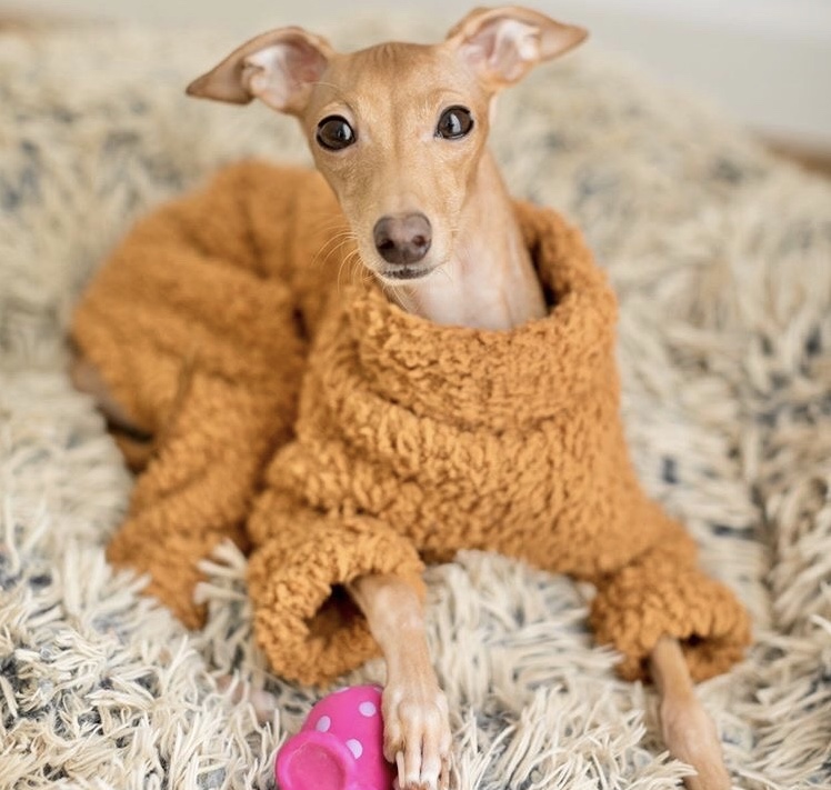 lurcher soft toy