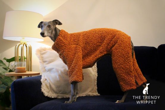 Teddy Bear Fluffy Whippet Greyhound Onesie Pyjamas - Image 6