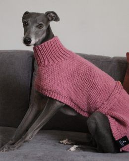 whippet greyhound jumper