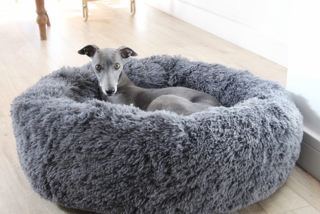 hunkin hounds bed