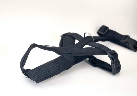 whippet greyhound harness