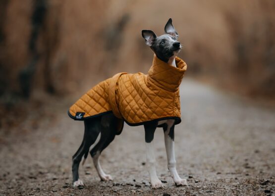 Yellow Quilted Waterproof Fleece Whippet Greyhound Coat Lurcher