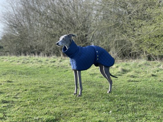Navy Quilted Waterproof Fleece Lined Whippet Greyhound Coat Lurcher