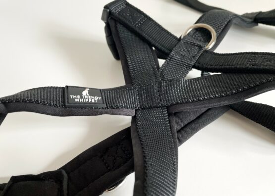 whippet greyhound harness