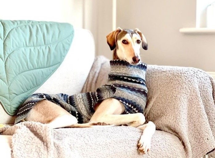 The RENZY Fairisle Fleece Whippet Greyhound Jumper Italian Lurcher