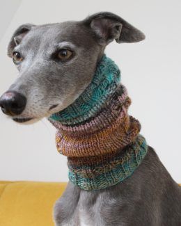 whippet greyhound snood