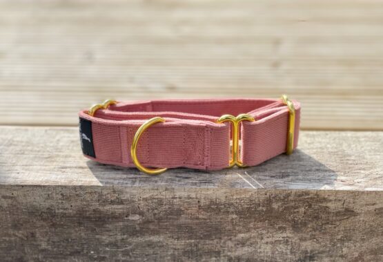 whippet greyhound collar