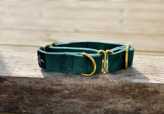 whippet greyhound collar