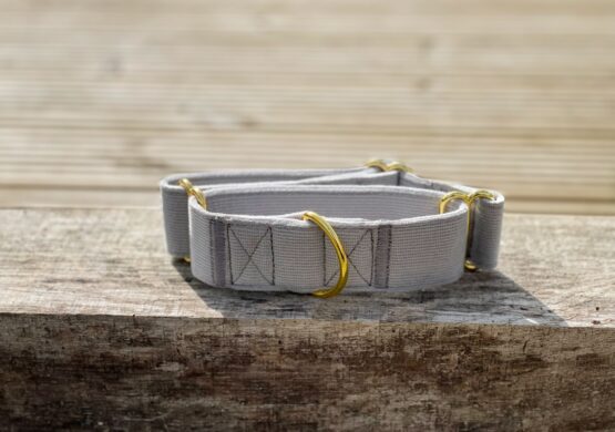 whippet greyhound collar