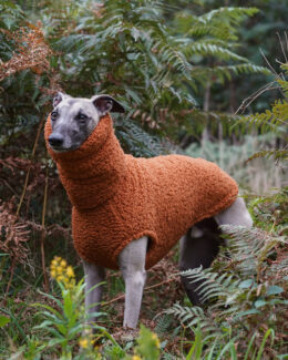 whippet greyhound jumper