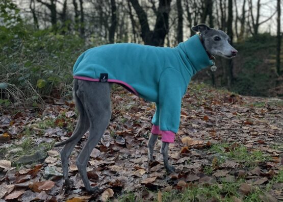 whippet greyhound jumper