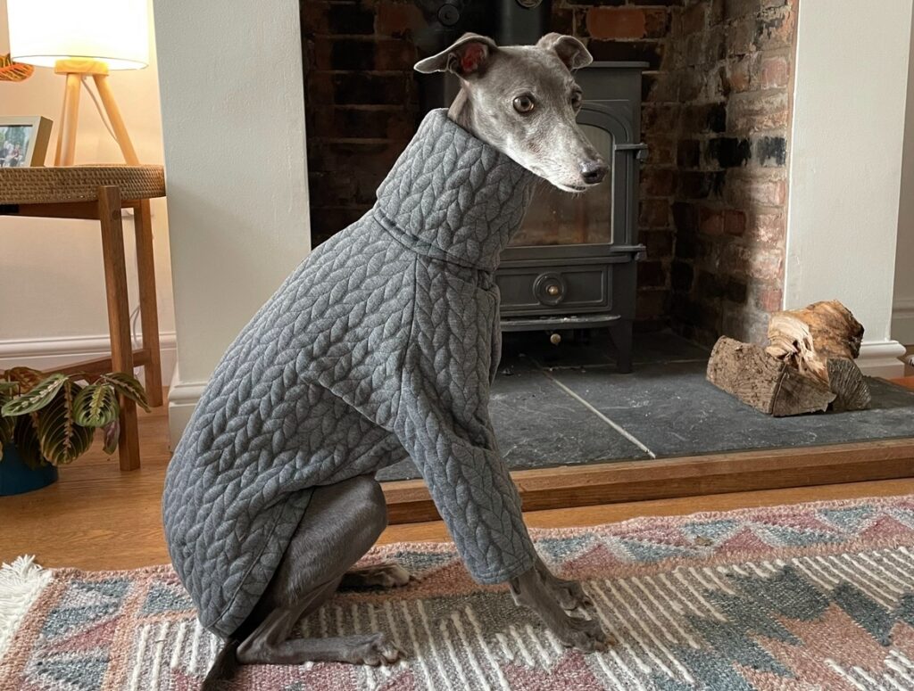 Whippet Coat, Sighthound Jumper Italian Greyhound Coat Whippet Puppy Jumper Whippet Clothes Sighthound Sweater(Brown, XS