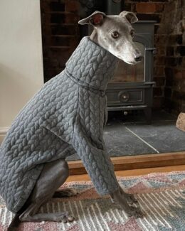 whippet greyhound jumper