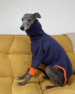 whippet greyhound jumper