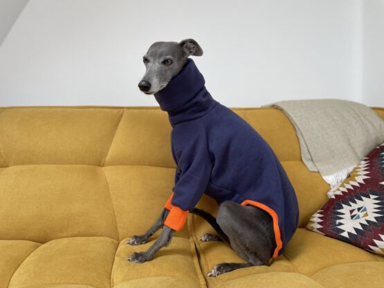 whippet greyhound jumper
