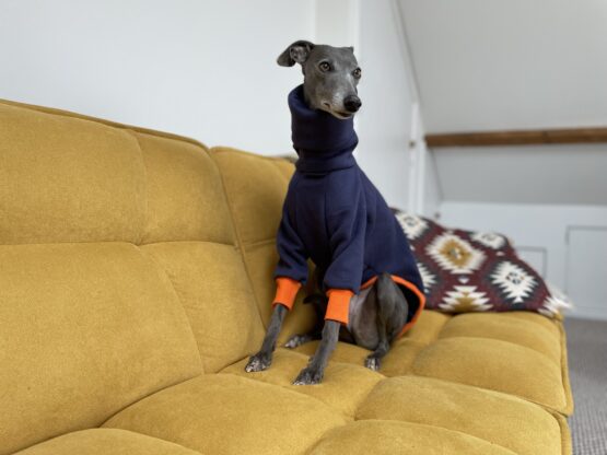 whippet greyhound jumper
