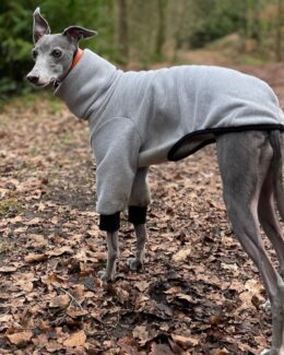 whippet greyhound jumper