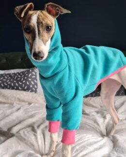 whippet greyhound jumper