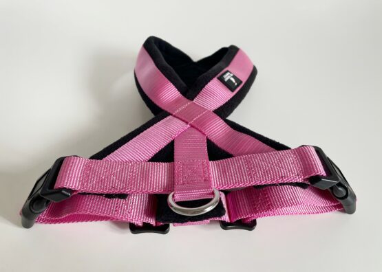 whippet greyhound harness
