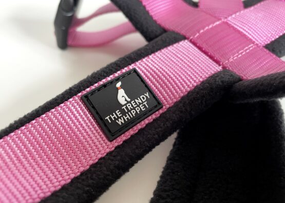 whippet greyhound harness