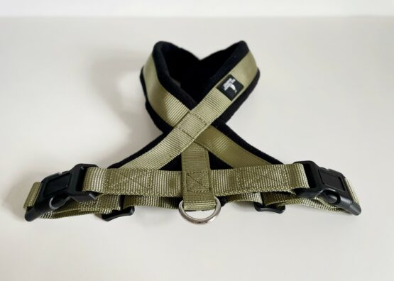 whippet greyhound harness