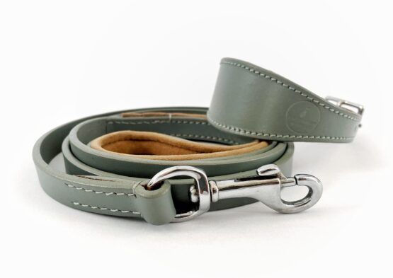 whippet greyhound collar