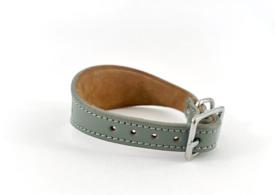 whippet greyhound collar