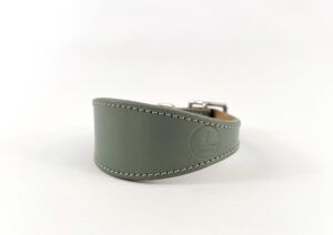 whippet greyhound collar