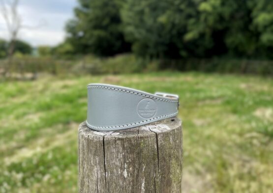 whippet greyhound collar