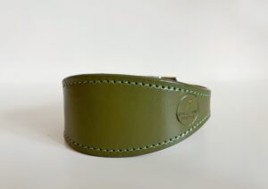 whippet greyhound collar