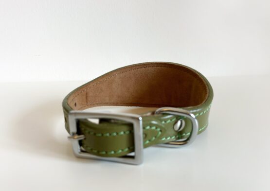 whippet greyhound collar
