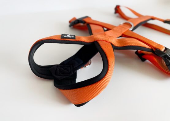 whippet greyhound harness
