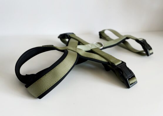whippet greyhound harness